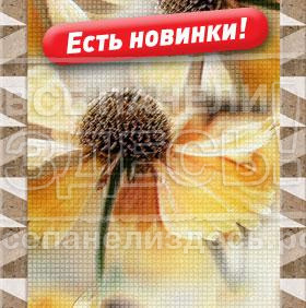 пвх пластик для стен. Смотреть фото пвх пластик для стен. Смотреть картинку пвх пластик для стен. Картинка про пвх пластик для стен. Фото пвх пластик для стен